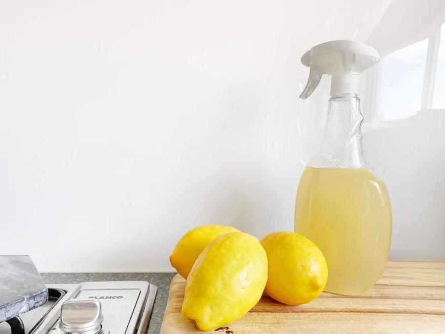 5 Ways to be More Eco-Friendly at Home