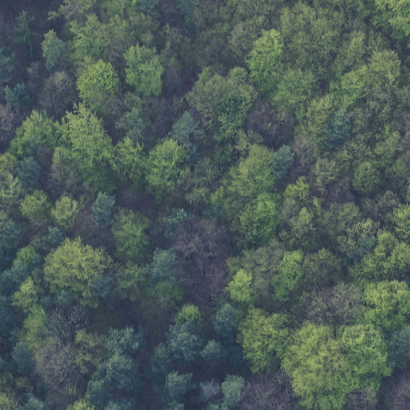 Our commitment to carbon neutrality